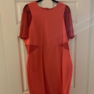 Rebel Wilson x dress